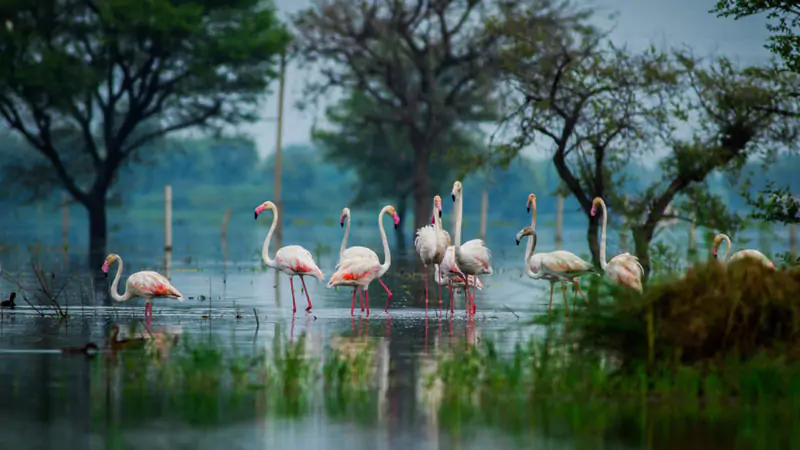 4 Days Delhi Agra Bharatpur Trip