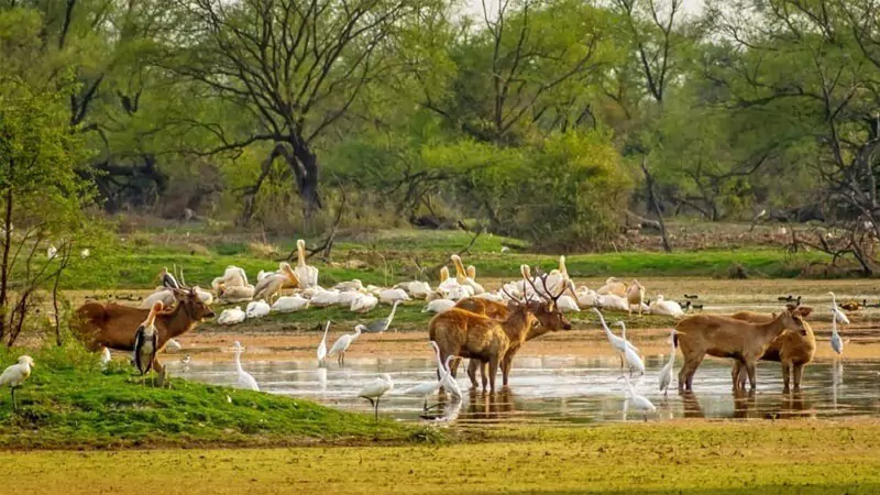 4 Days Delhi Agra Bharatpur Trip
