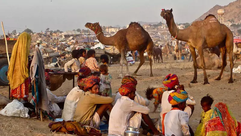 Classic Rajasthan Tour with Golden Triangle