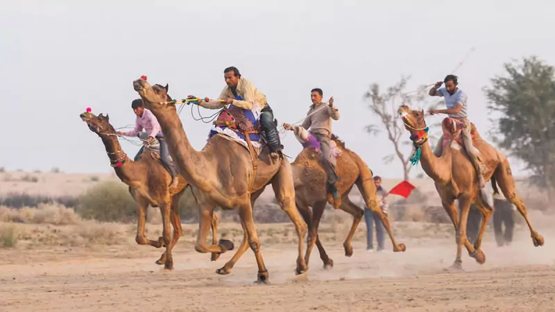 Classic Rajasthan Tour with Golden Triangle