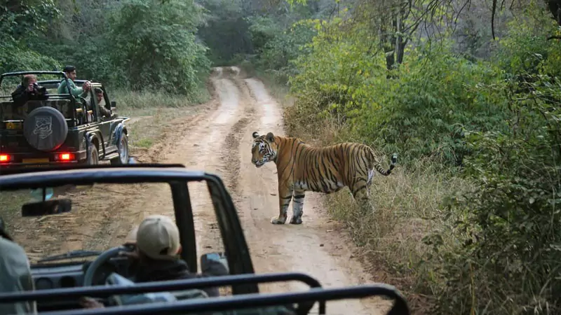 Classic Rajasthan Tour with Golden Triangle
