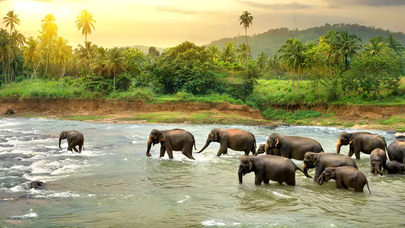 South India Cultural Tour