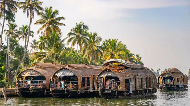 South India Cultural Tour