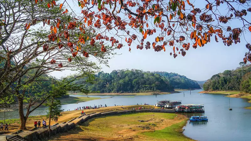Kerala and Tamil Nadu Tour