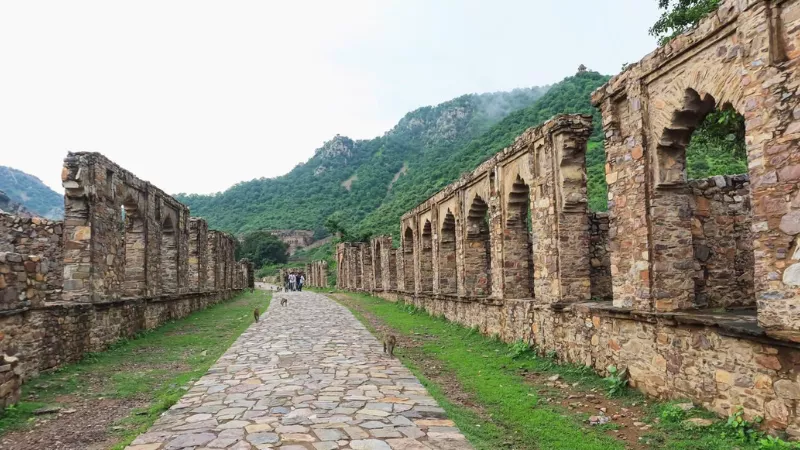 3 Days Jaipur Sariska Weekend Tour