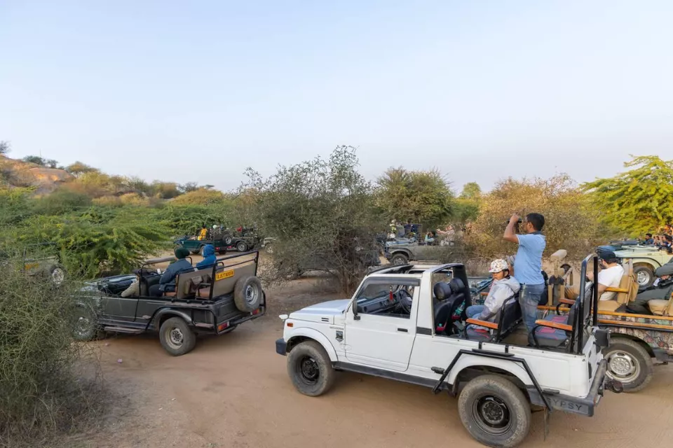 Udaipur Jawai Jaipur Agra Delhi Tour  7 Days
