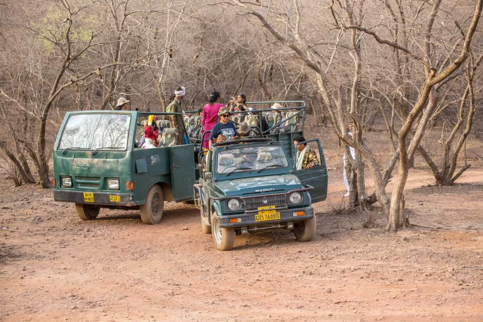 Udaipur Ranthambore Jaipur Agra Delhi Tour